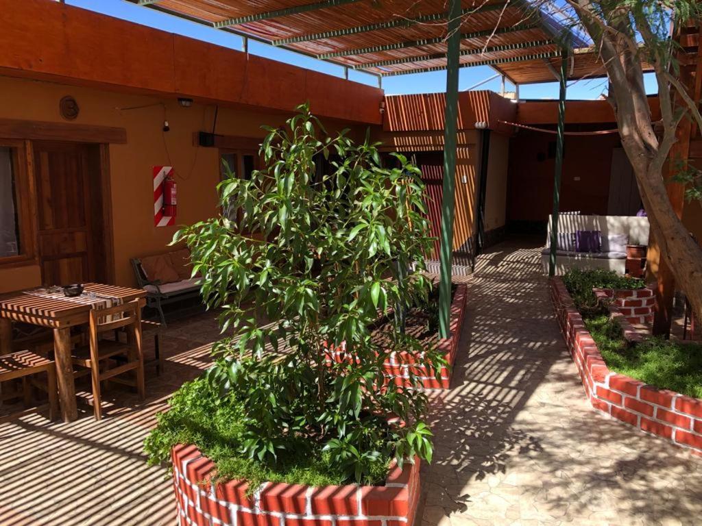 Hostal Nuevo Amanecer San Pedro de Atacama Luaran gambar
